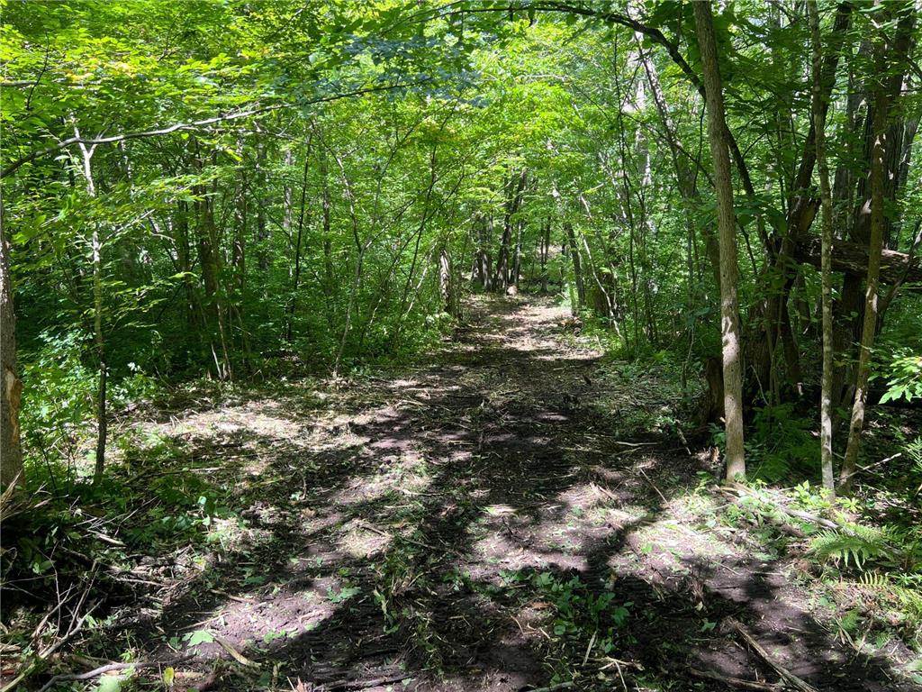 00000 River Island Road Pine City Twp MN 55063 - Snake River 6777235 image21