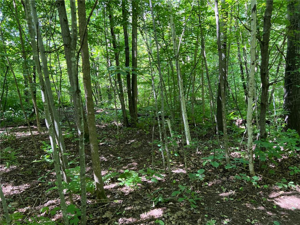 00000 River Island Road Pine City Twp MN 55063 - Snake River 6777235 image23