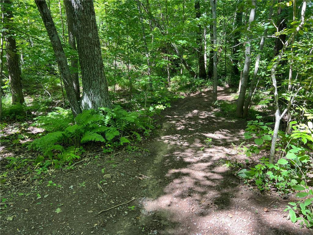 00000 River Island Road Pine City Twp MN 55063 - Snake River 6777235 image24