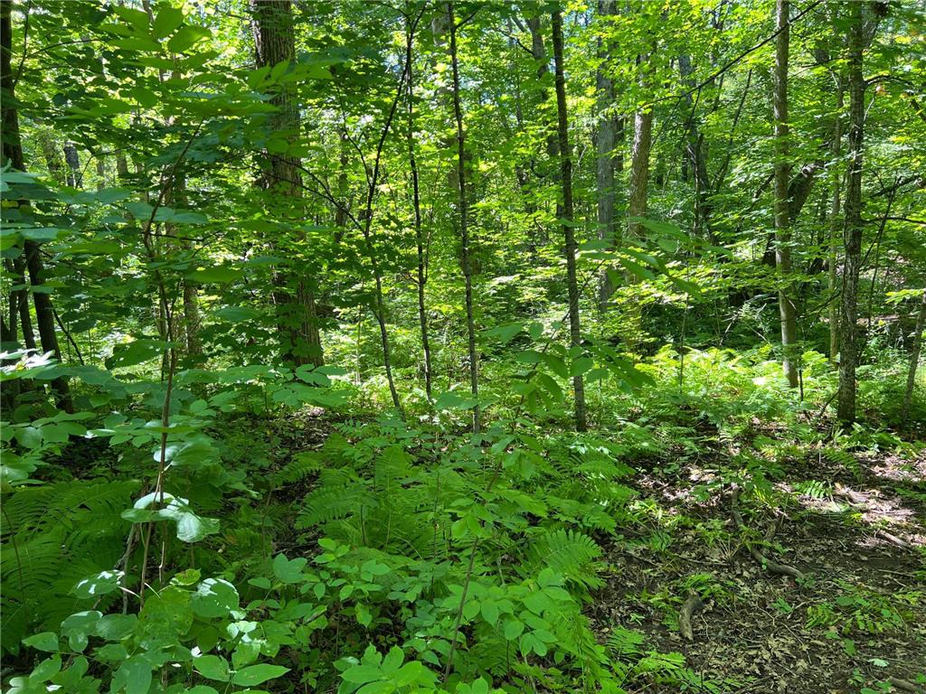 00000 River Island Road Pine City Twp MN 55063 - Snake River 6777235 image25