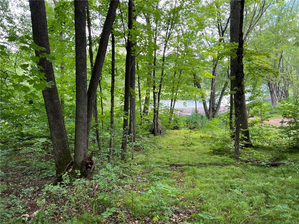 00000 River Island Road Pine City Twp MN 55063 - Snake River 6777235 image3