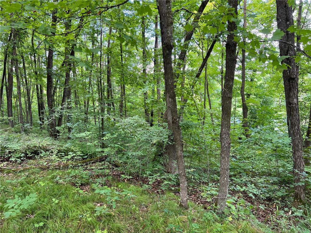 00000 River Island Road Pine City Twp MN 55063 - Snake River 6777235 image5