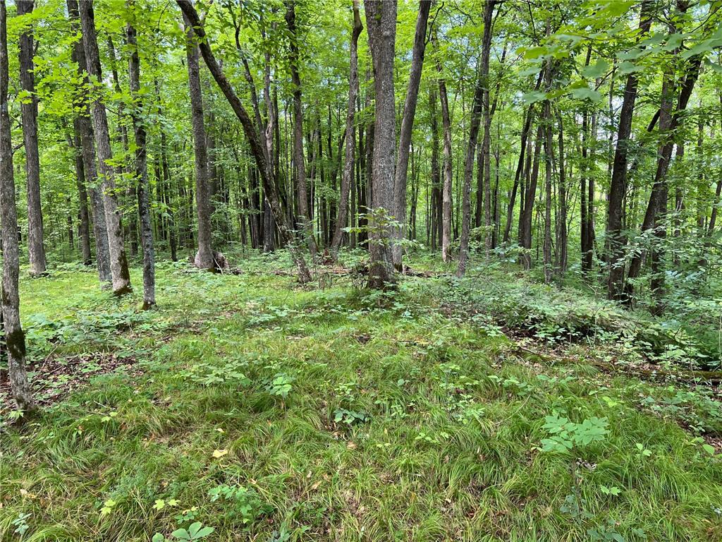 00000 River Island Road Pine City Twp MN 55063 - Snake River 6777235 image6