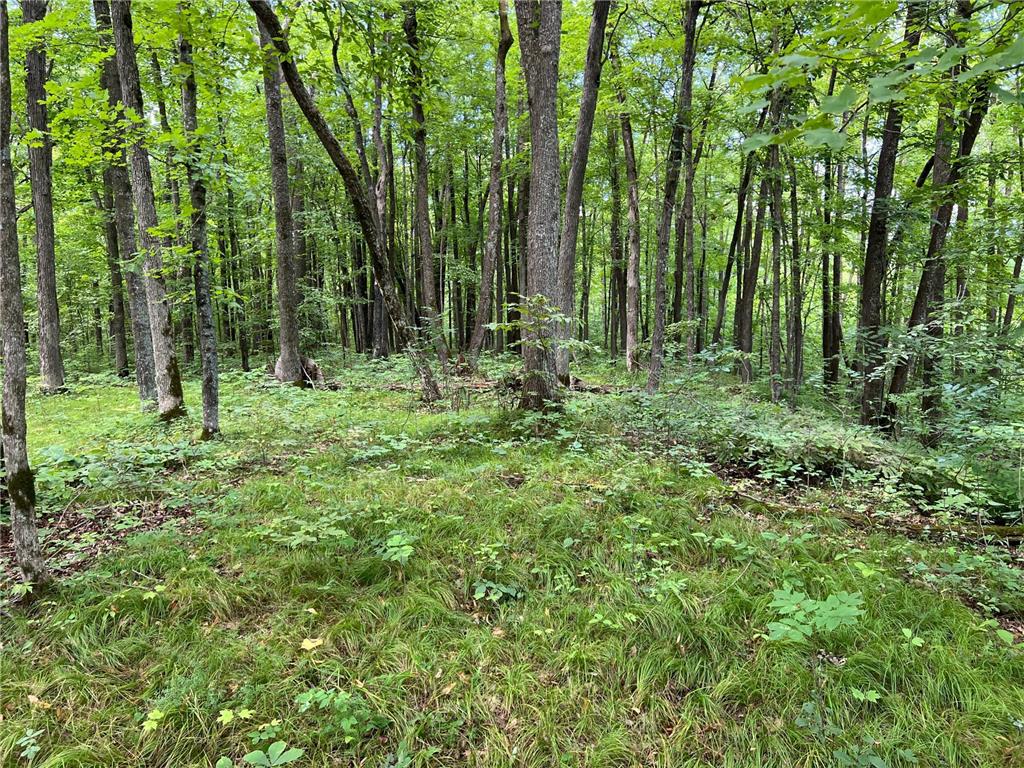 00000 River Island Road Pine City Twp MN 55063 - Snake River 6777235 image7