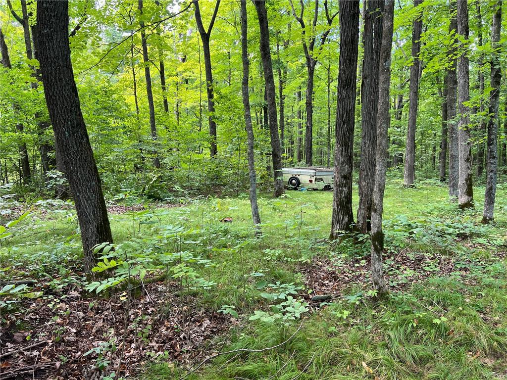 00000 River Island Road Pine City Twp MN 55063 - Snake River 6777235 image8