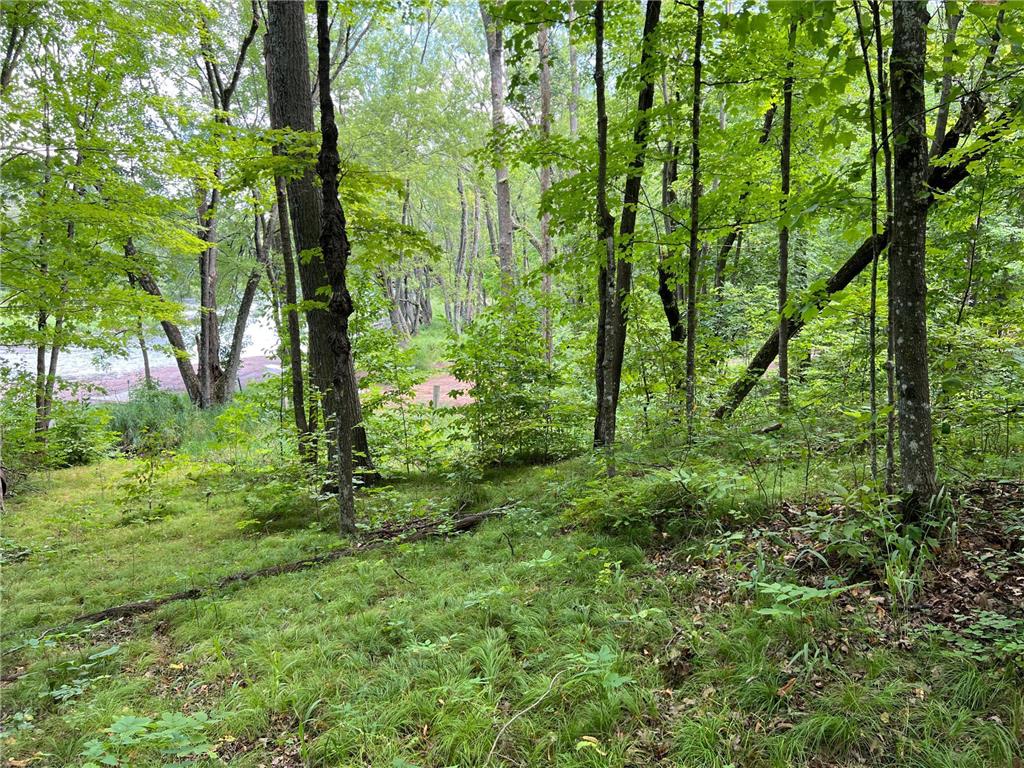 00000 River Island Road Pine City Twp MN 55063 - Snake River 6777235 image9