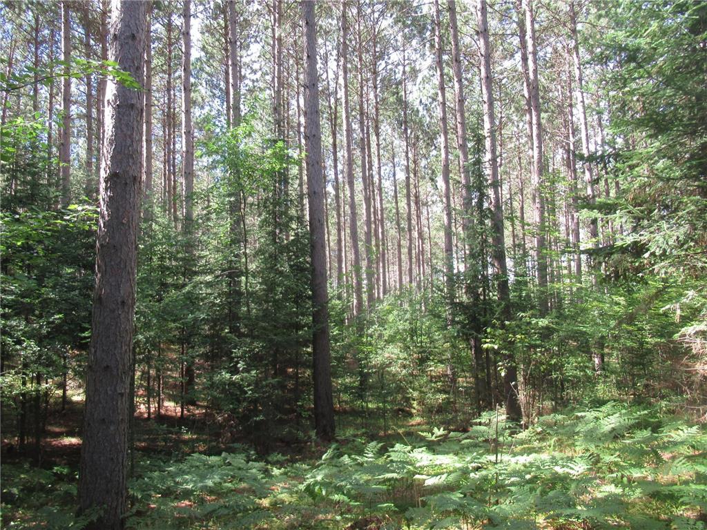 00000 Sutherland Road Mason WI 54856 6434220 image1