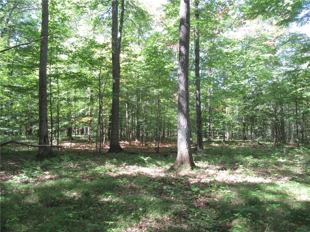 000000000 County Road E Mason WI 54856 6434268 image1