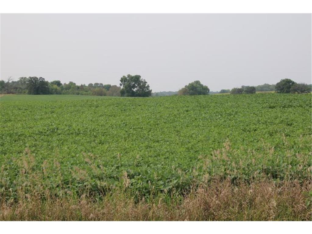 00002 County Rd 14 NE Spruce Hill Twp MN 56446 6598055 image1