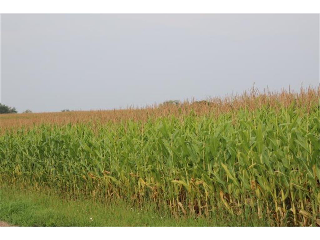 00003 Clover Lane NE Spruce Hill Twp MN 56446 6597815 image1