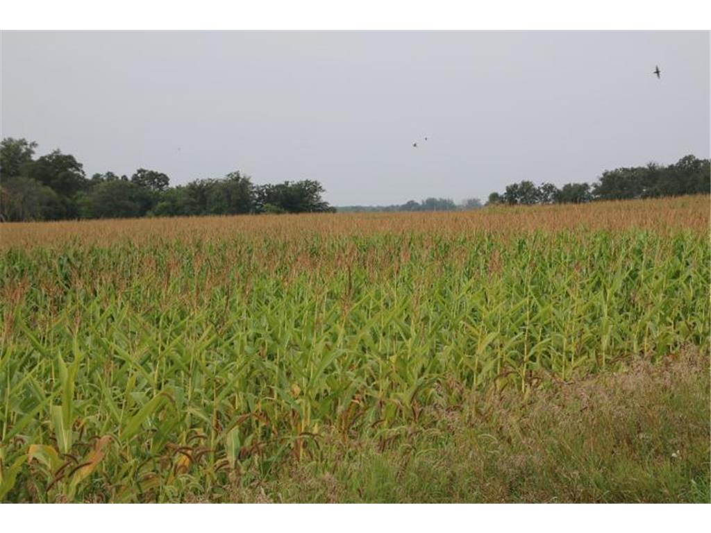 00004 Clover Lane NE Spruce Hill Twp MN 56446 6598001 image1