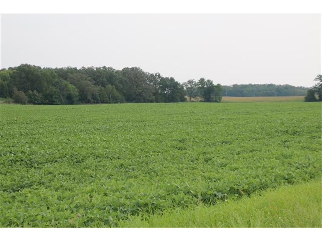 00005 County Rd 14 NE Spruce Hill Twp MN 56446 6598019 image1