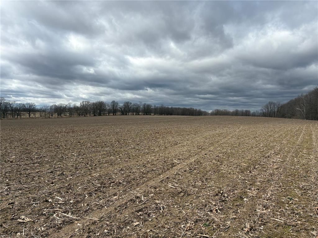 XXX 4 1/2 Avenue Vance Creek Twp WI 54004 6703252 image1