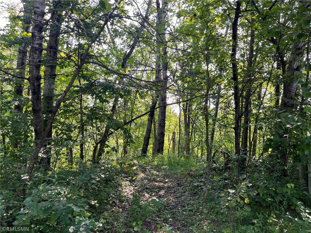 070026400 321st Lane Aitkin MN 56431 6771405 image1