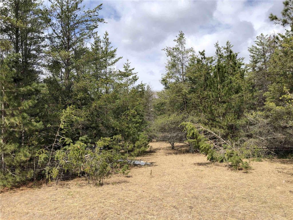 1.34 AC Main` Street W Menahga MN 56464 6362273 image1