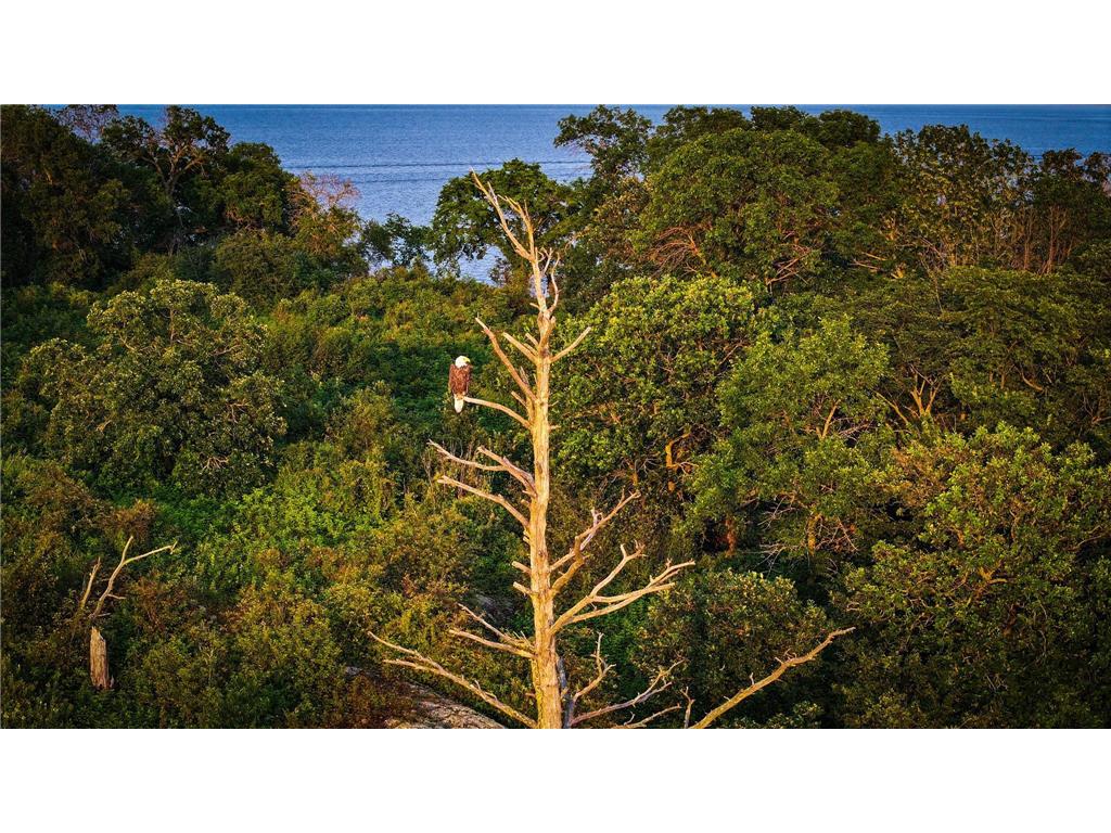 1 Birch Island Angle Twp MN 56711 - Lake of The Woods 6801787 image38