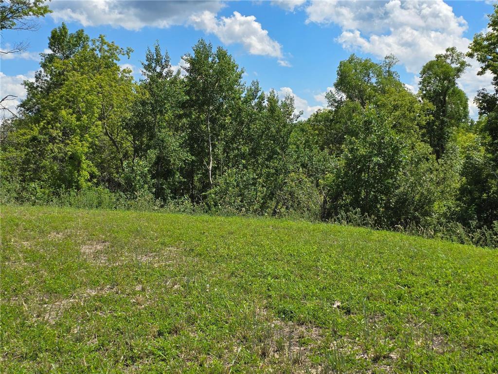 1 Branch Creek Road Detroit Lakes MN 56501 - Detroit 6754296 image17