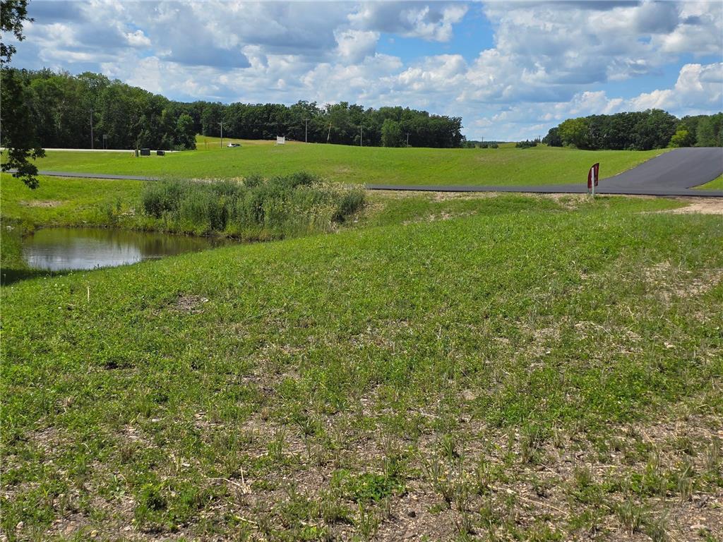 1 Branch Creek Road Detroit Lakes MN 56501 - Detroit 6754296 image18