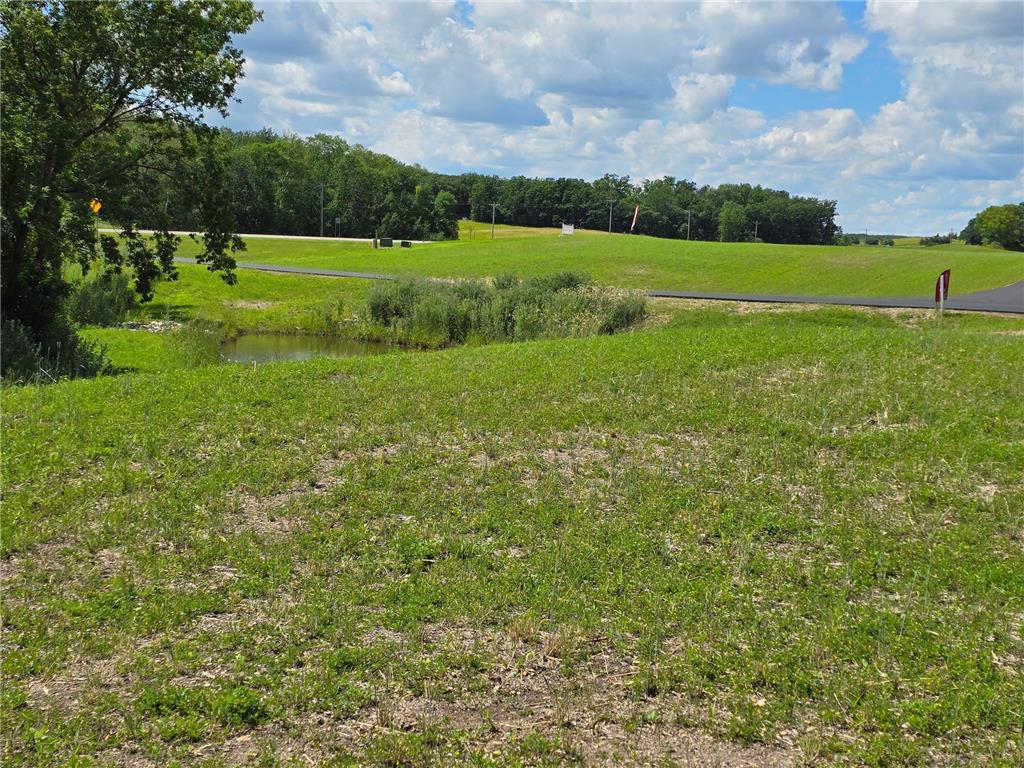 1 Branch Creek Road Detroit Lakes MN 56501 - Detroit 6754296 image19