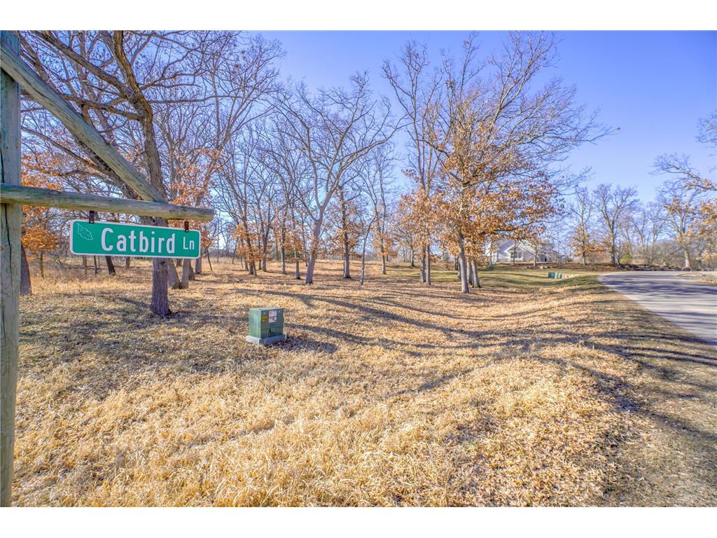 1 Catbird Lane North Oaks MN 55127 - Pleasant Lake 6620414 image1