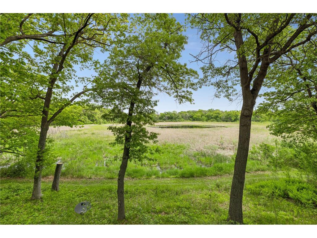 1 Snowy Owl Lane North Oaks MN 55127 - Pleasant Lake 7072379 image21