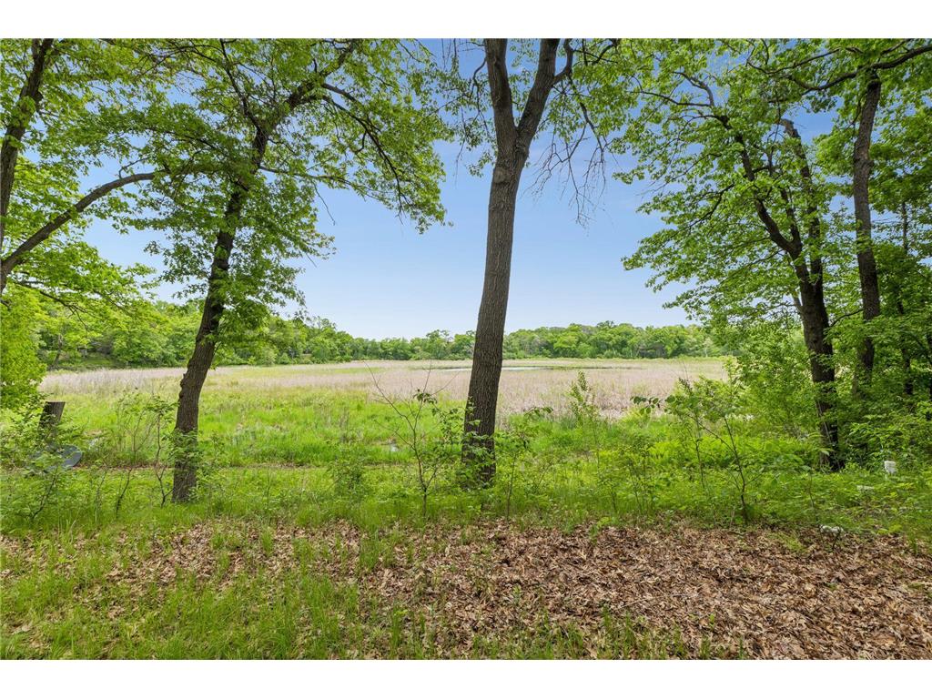 1 Snowy Owl Lane North Oaks MN 55127 - Pleasant Lake 7072379 image53