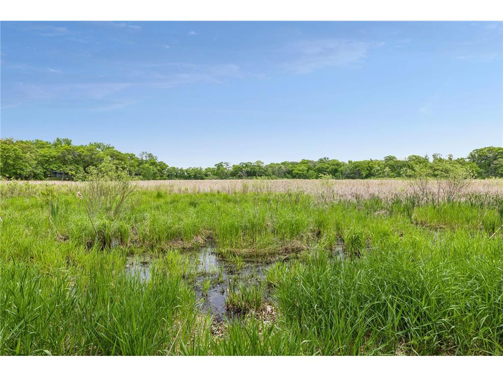 1 Snowy Owl Lane North Oaks MN 55127 - Pleasant Lake 7072379 image55