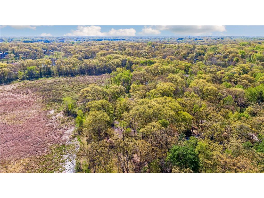 1 Snowy Owl Lane North Oaks MN 55127 - Pleasant Lake 7072379 image58