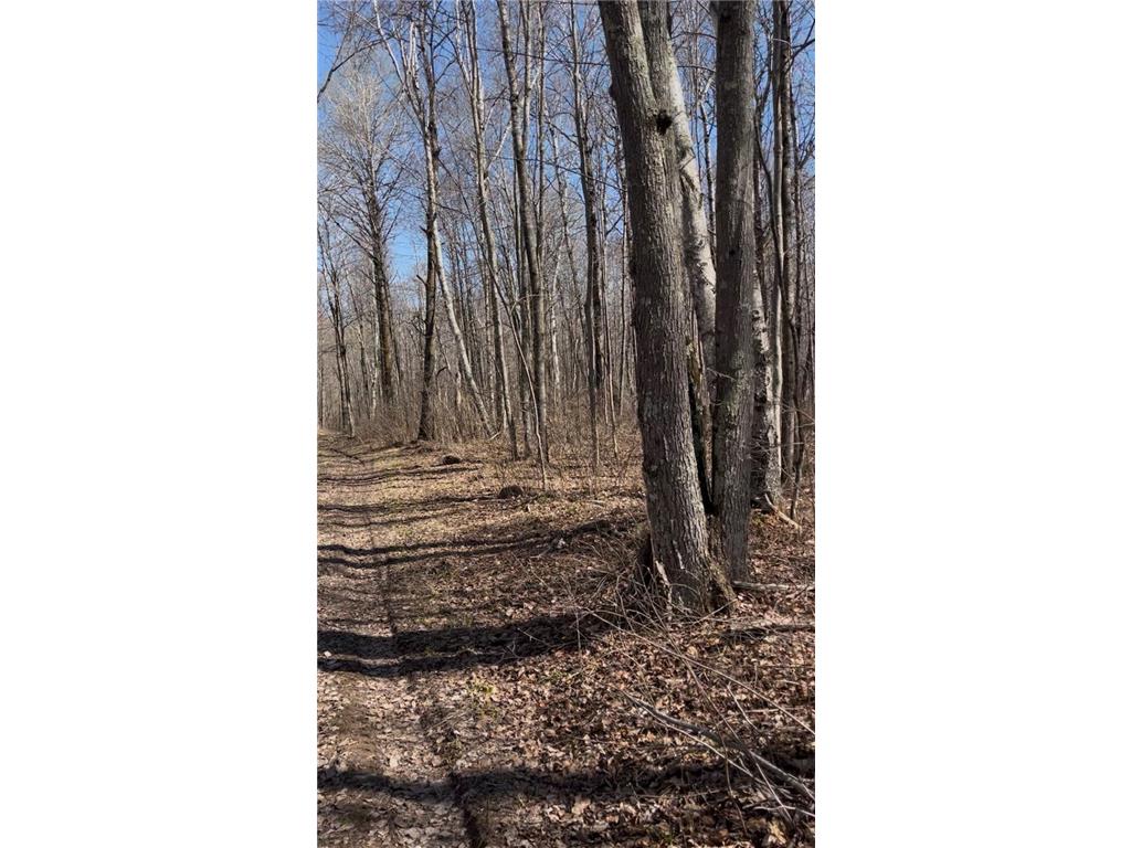 1 TBD Hinckley Twp MN 55037 7084581 image1