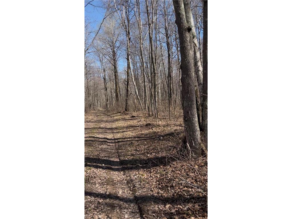 1 TBD Hinckley Twp MN 55037 7084581 image3