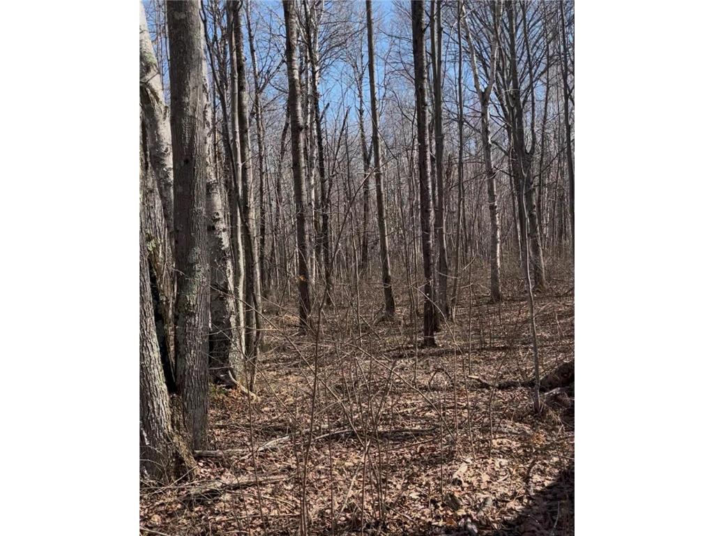 1 TBD Hinckley Twp MN 55037 7084581 image5