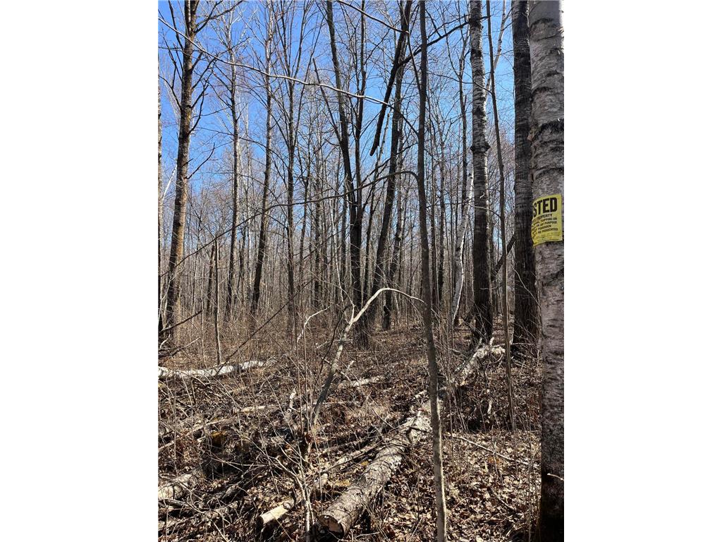 1 TBD Hinckley Twp MN 55037 7084581 image7