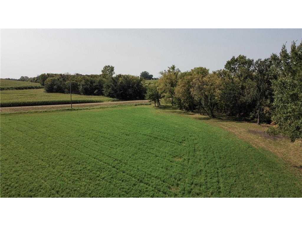 TBD 216th Ln Faxon Twp MN 56044 7036782 image3