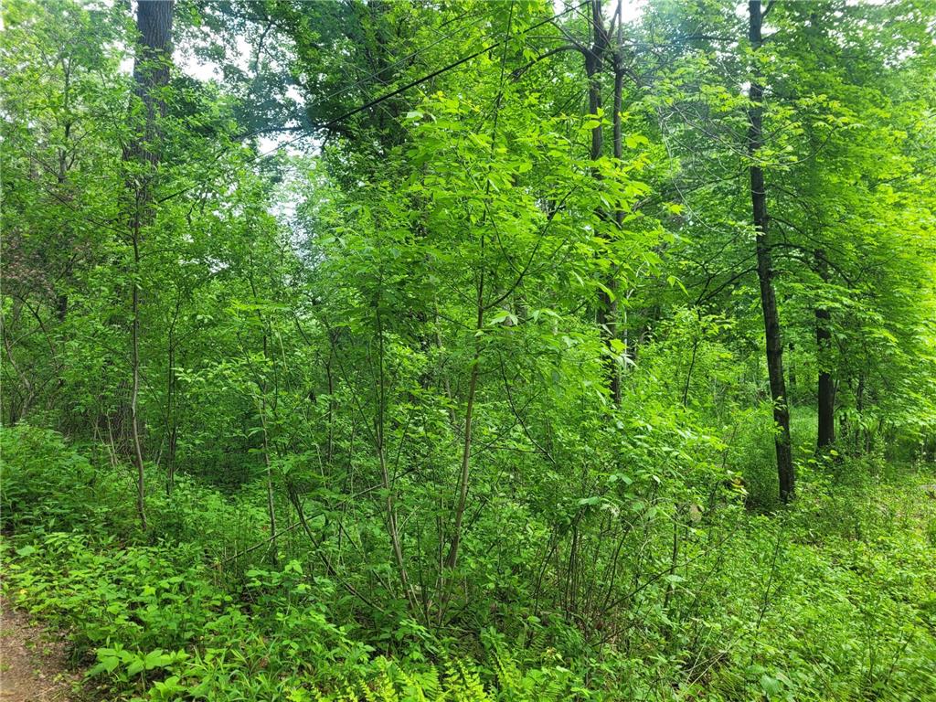 10 Butternut Trail N, Marine On Saint Croix, MN, 55047 MLS 6547219