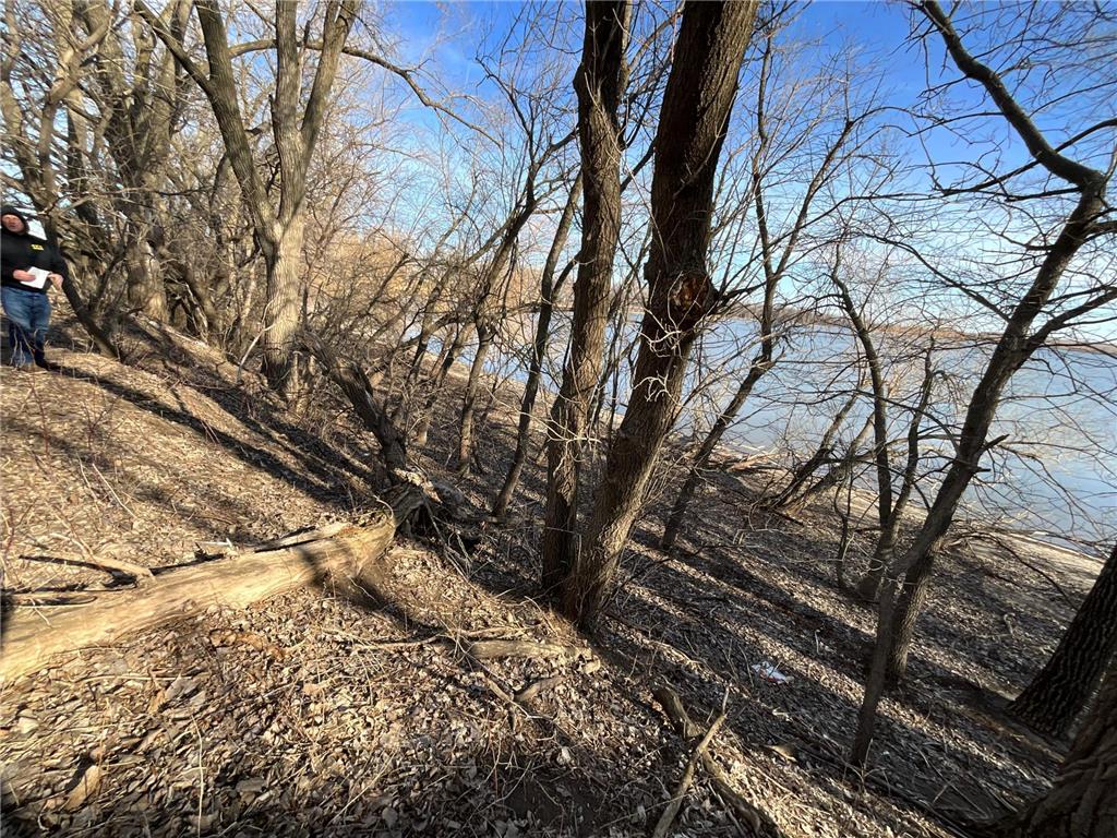 10 Cottonwood Lake Boulevard Windom MN 56101 - Cottonwood 6617736 image33