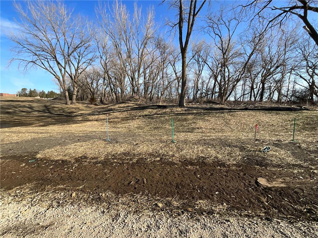 10 Cottonwood Lake Boulevard Windom MN 56101 - Cottonwood 6617736 image39