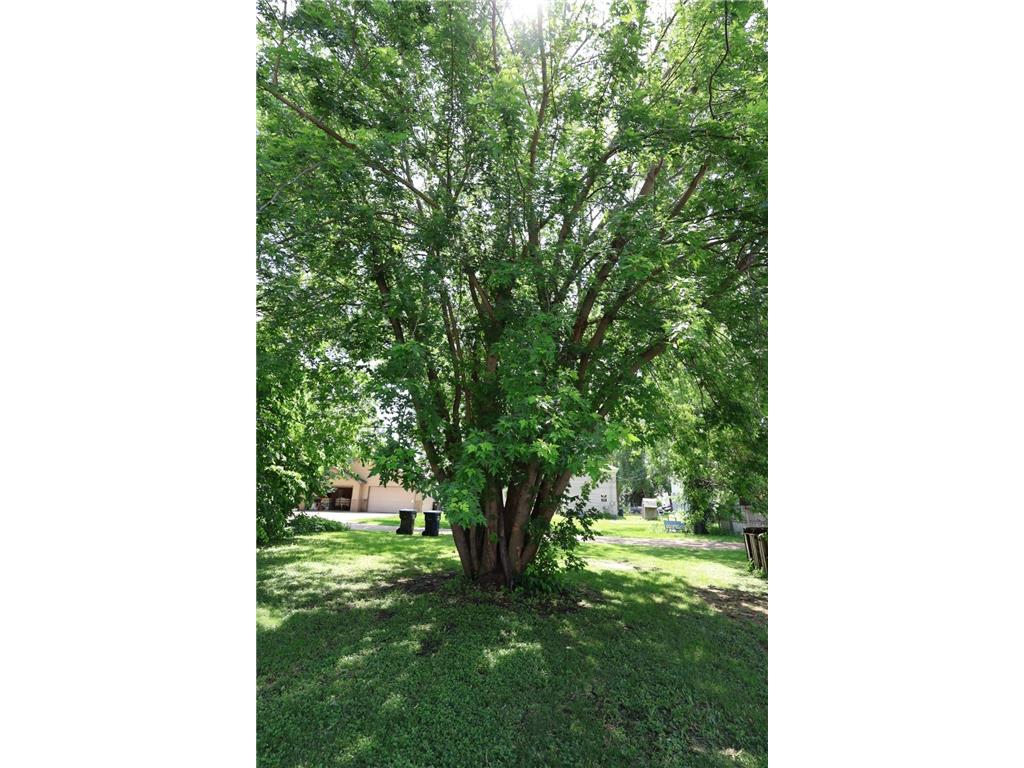 10 E 4th Street Morris MN 56267 7078339 image31