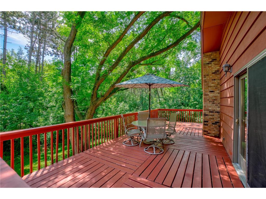 10 High Circle Way North Oaks MN 55127 - Pleasant Lake 7071807 image7