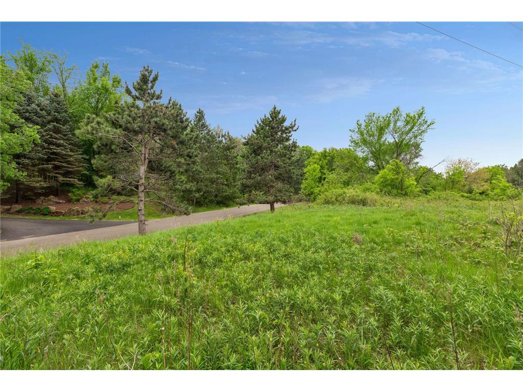 10 Sunny Side Lane Sunfish Lake MN 55118 7046192 image3