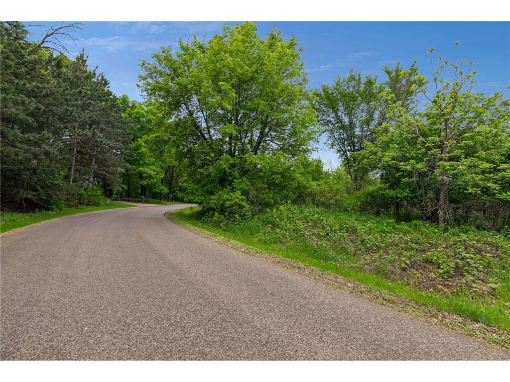 10 Sunny Side Ln Sunfish Lake MN 55118 7102457 image53