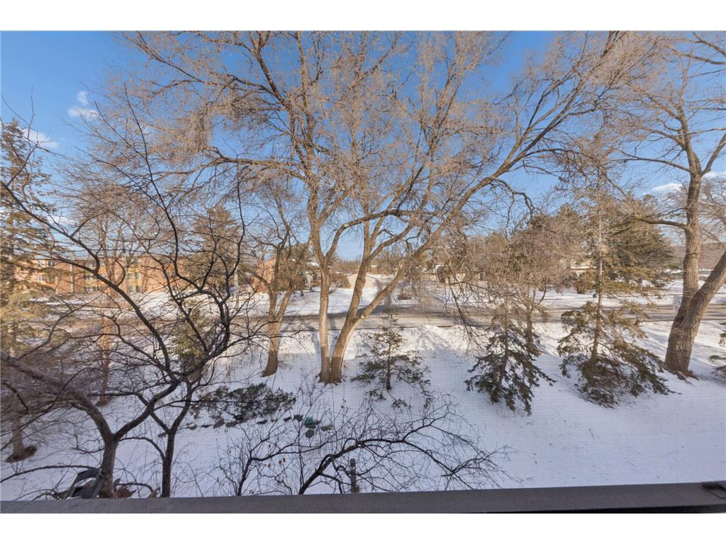 10 Windsor Court #311 New Brighton MN 55112 7014452 image24