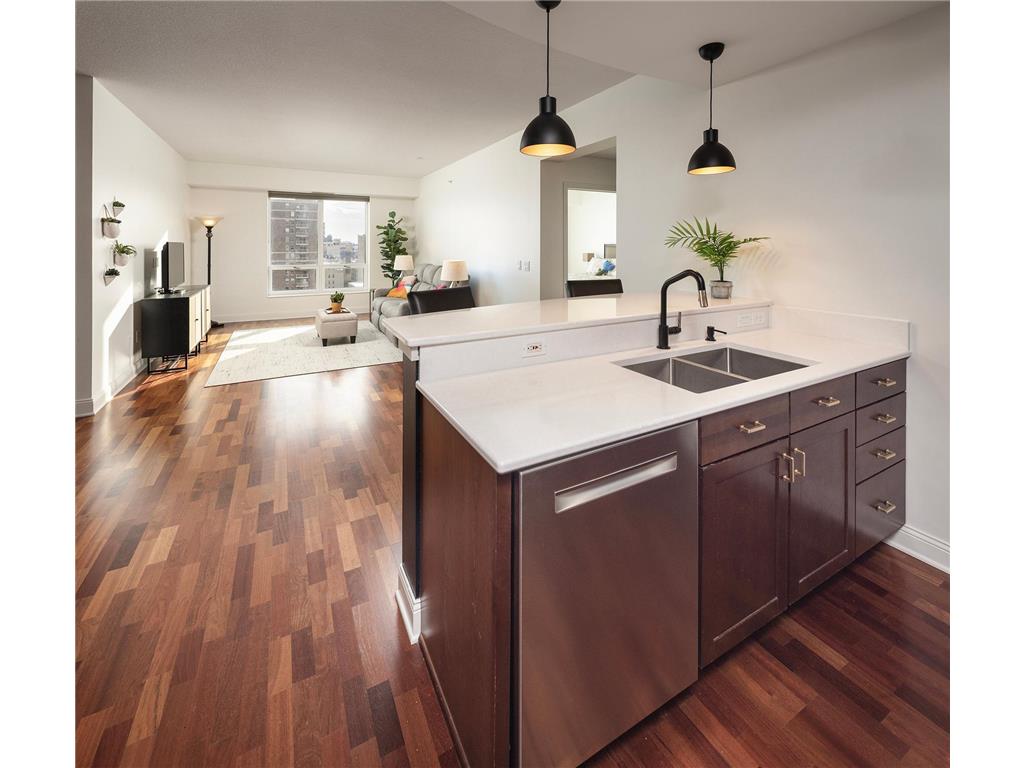 100 3rd Avenue S #1101 Minneapolis MN 55401 - Mississippi 6765210 image10