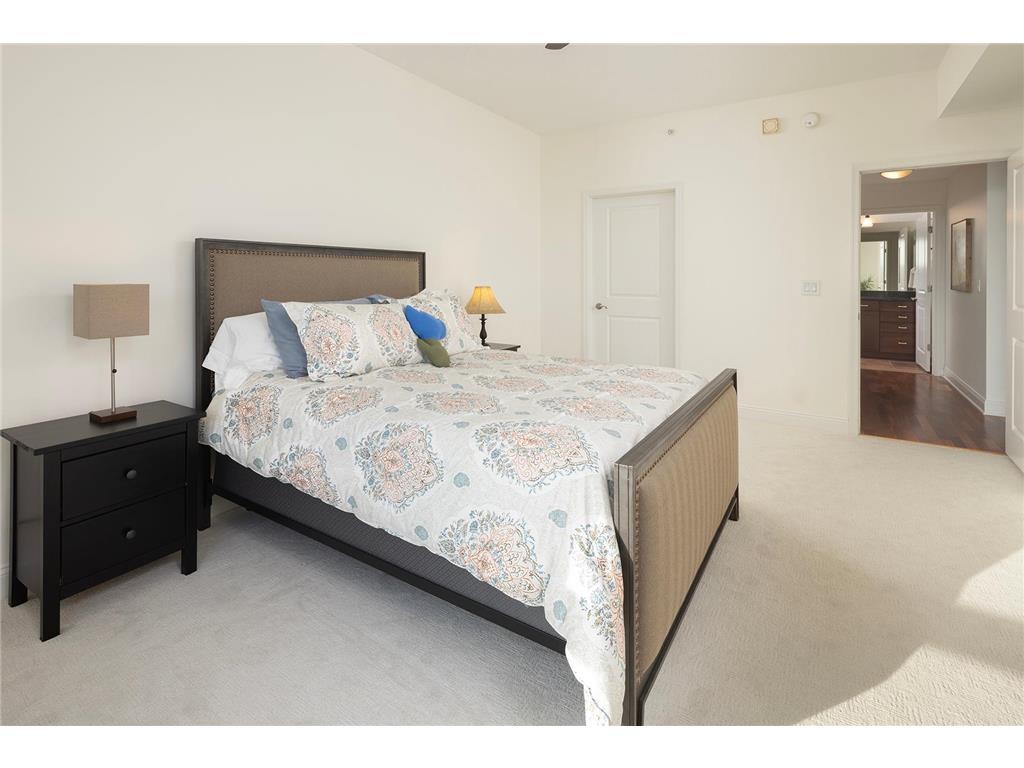 100 3rd Avenue S #1101 Minneapolis MN 55401 - Mississippi 6765210 image13