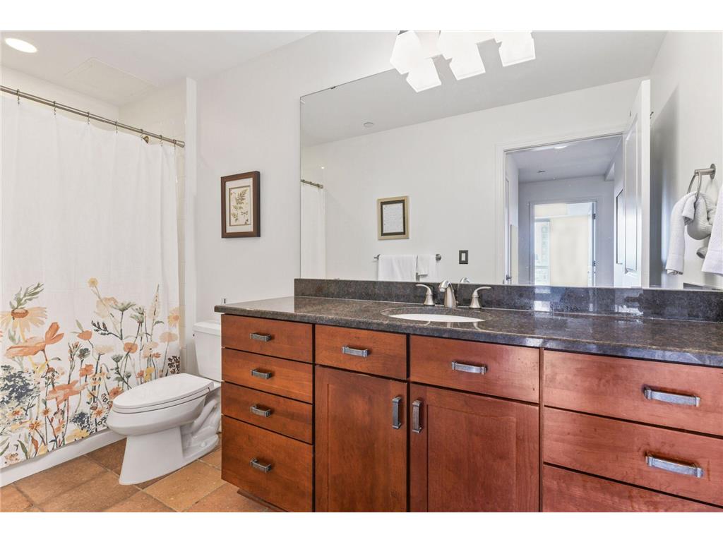 100 3rd Avenue S #1101 Minneapolis MN 55401 - Mississippi 6765210 image15