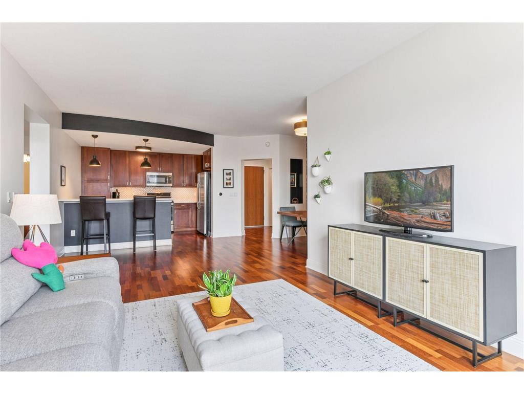 100 3rd Avenue S #1101 Minneapolis MN 55401 - Mississippi 6765210 image4