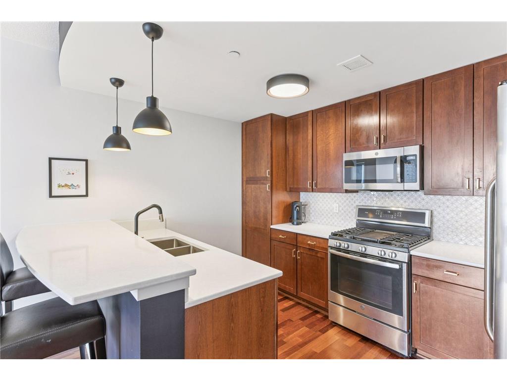 100 3rd Avenue S #1101 Minneapolis MN 55401 - Mississippi 6765210 image6