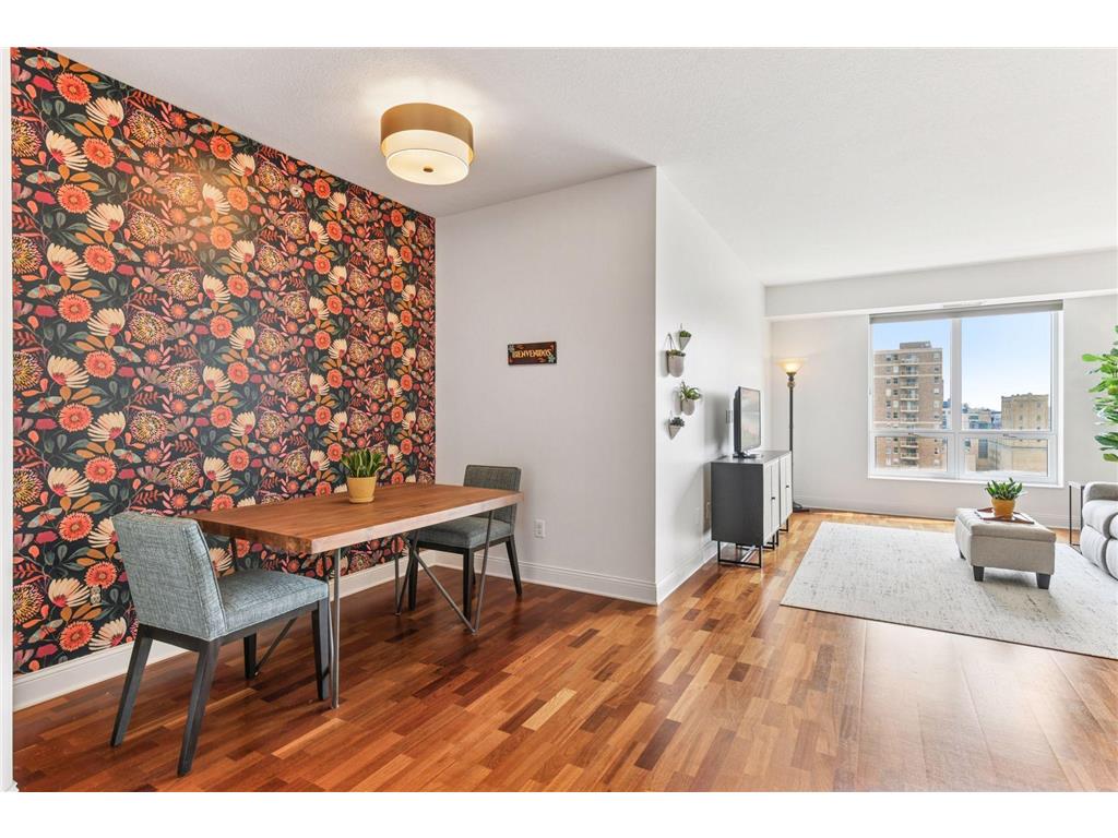 100 3rd Avenue S #1101 Minneapolis MN 55401 - Mississippi 6765210 image9