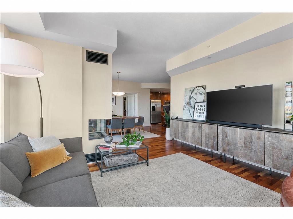 100 3rd Avenue S #1703 Minneapolis MN 55401 7068470 image4
