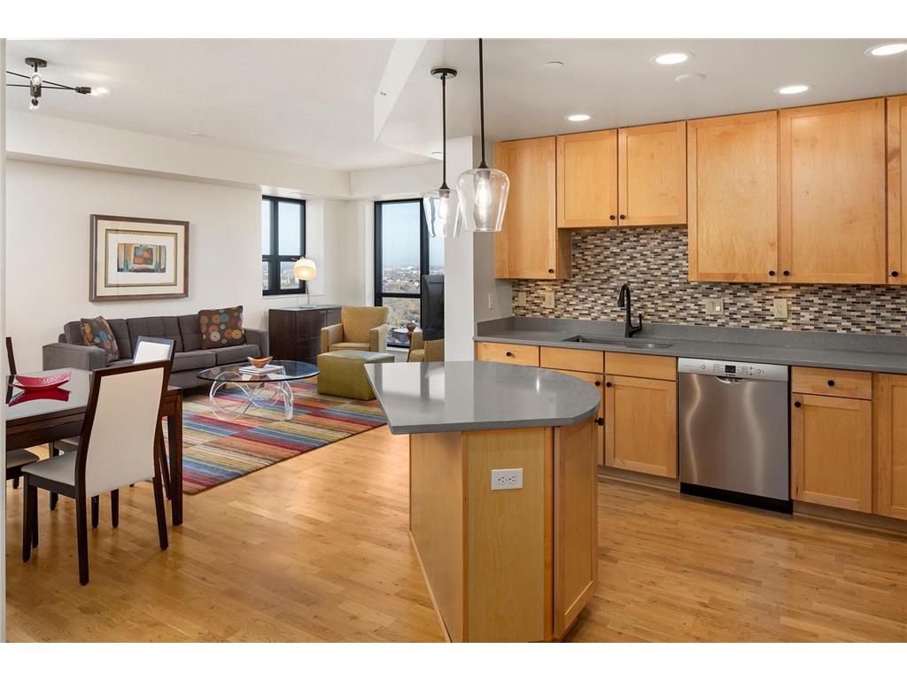 100 3rd Avenue S #2104 Minneapolis MN 55401 - Mississippi 6302897 image1