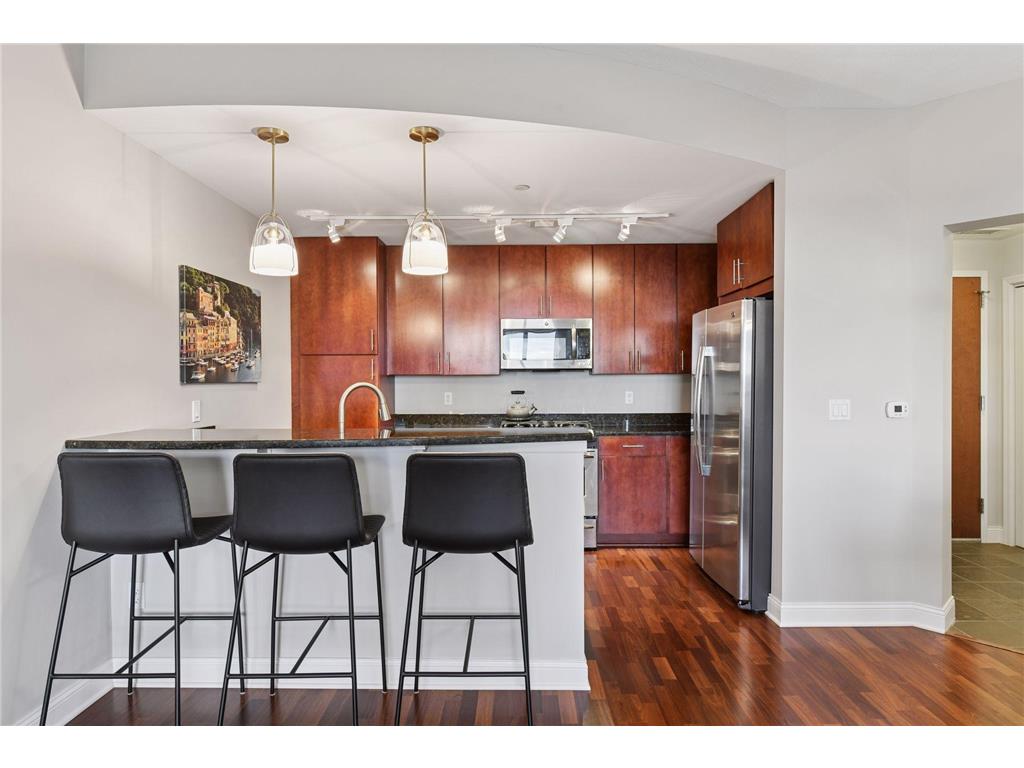 100 3rd Avenue S #2201 Minneapolis MN 55401 - Mississippi 6813880 image14